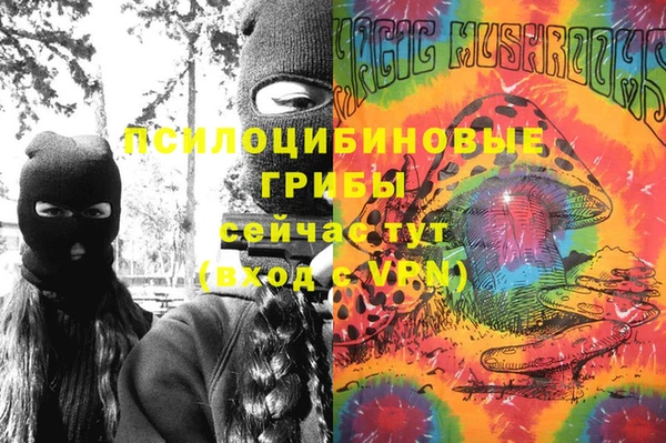 2c-b Балахна