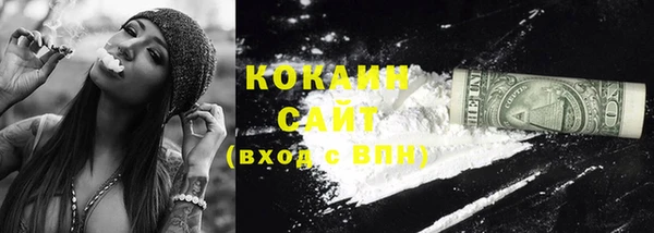 индика Баксан