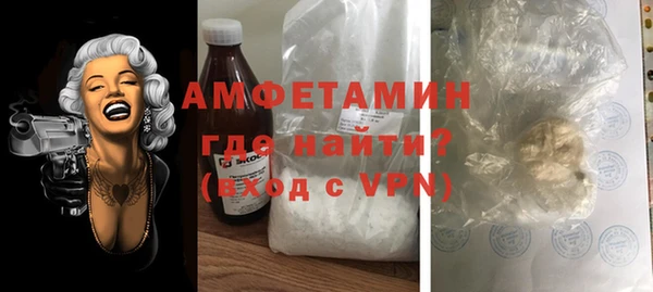сатива Ростов