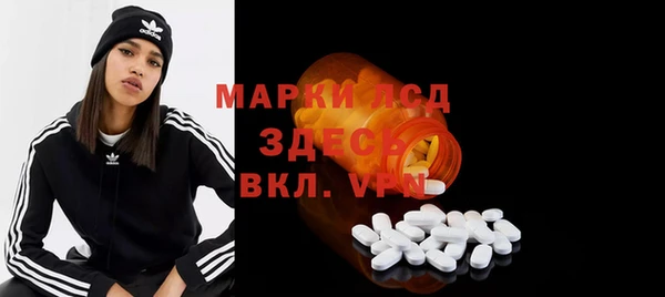индика Баксан